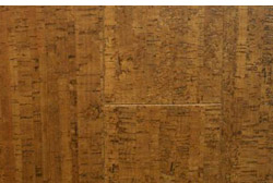 Owl Image