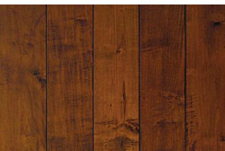 Owl Image