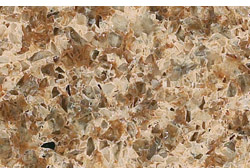 Owl Image
