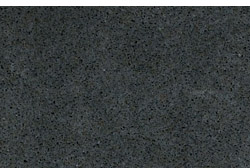 Owl Image